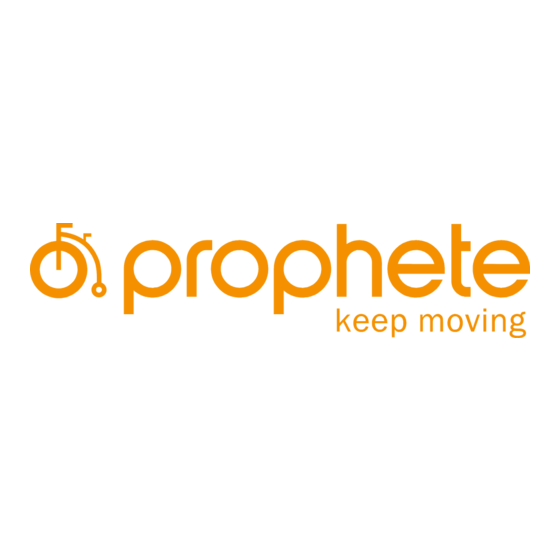 Prophete GRAVELER E-MTB 29 Notice D'utilisation