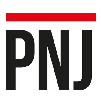 PNJ CAM-IP-01 Mode D'emploi