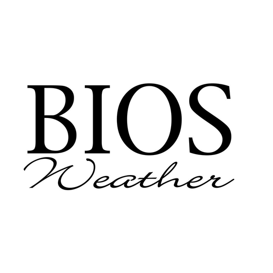 BIOS WEATHER 339BC Mode D'emploi