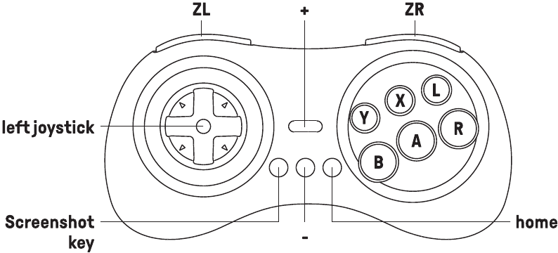 Connexion Switch