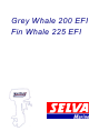 SELVA MARINE Grey Whale 200 EFI Mode D'emploi