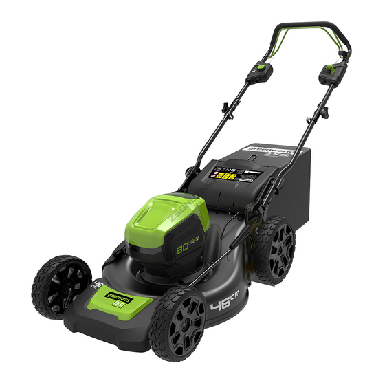 GreenWorks Pro 2501007 Mode D'emploi