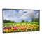 NEC MultiSync X462HB