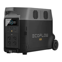 EcoFlow EFG100 Manuel D'utilisation