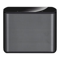 Magnat CS 10 Mode D'emploi