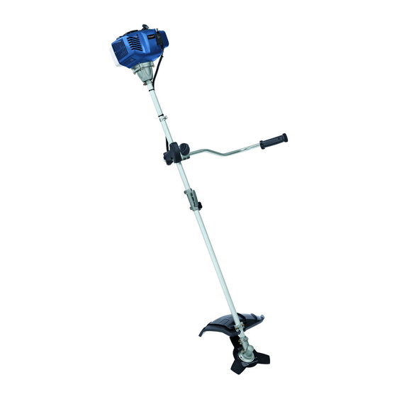 EINHELL BG-BC 41 Mode D'emploi