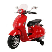 Groupe Cabriole VESPA GTS 300 Notice D'utilisation