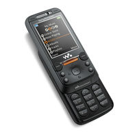 Sony Ericsson W850i Mode D'emploi