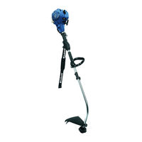 EINHELL BG-PT 2538 Mode D'emploi