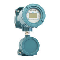 Flexim FLUXUS G831 Mode D'emploi