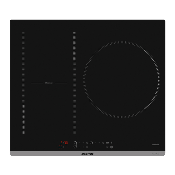 Brandt BPI163DUB Manuels