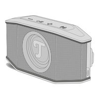Teufel ROCKSTER GO 2 Mode D'emploi