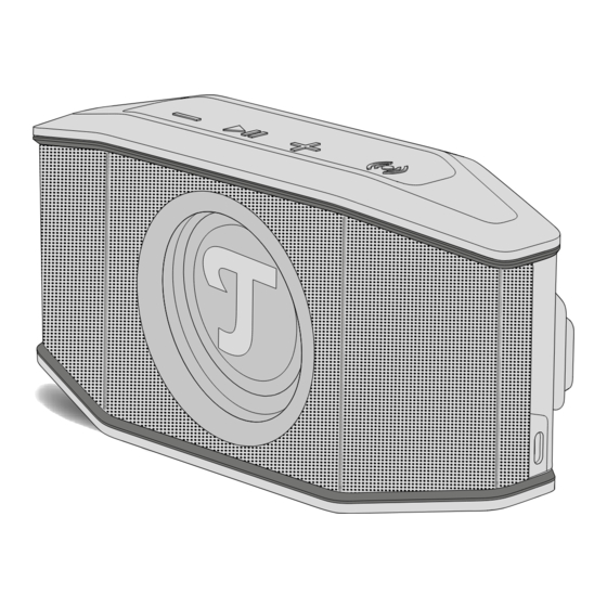 Teufel ROCKSTER GO 2 Mode D'emploi