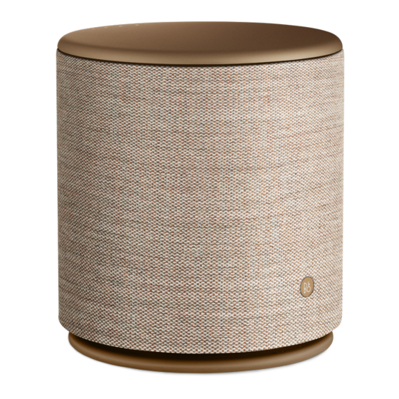 Bang & Olufsen Beoplay M5 Mode D'emploi