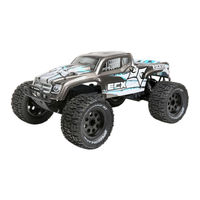 Horizon Hobby ECX RUCKUS Manuel D'utilisation