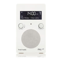 Tivoli Audio PAL + BT Guide Rapide