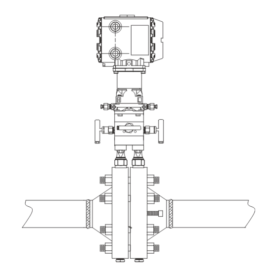 Emerson Rosemount 3095FC MultiVariable Guide Condensé