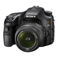 Sony SLT-A65 Guide Pratique