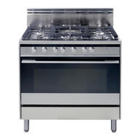 Fisher & Paykel OR36SDBGX Guide D'utilisation