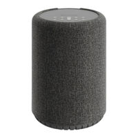 Audio Pro A10 Manuel D'utilisation