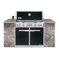 Weber Summit 460-LP Guide Pour L'installation