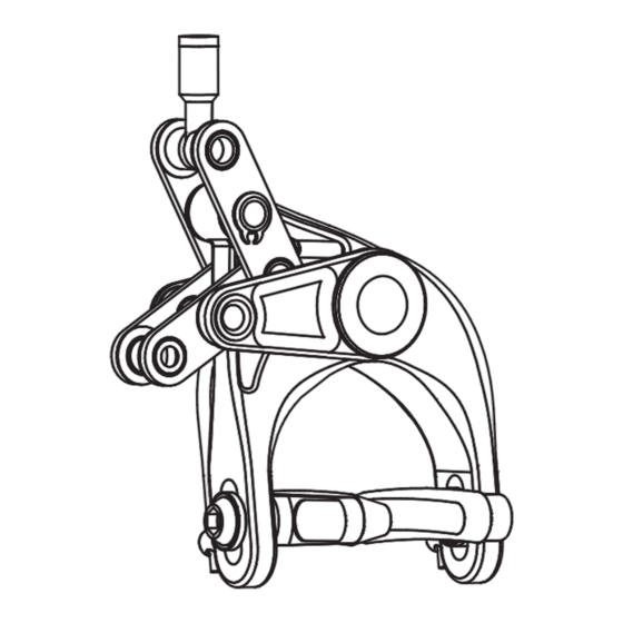 THM Carbones Fibula Instructions De Service