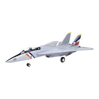 Horizon Hobby E-FLITE F-14 Tomcat Twin 40mm EDF Manuel D'utilisation