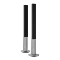 Bang & Olufsen BeoLab 1 6843 Mode D'emploi