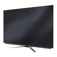 Grundig 55 VLO 9895 BP Manuel D'utilisation