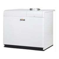 Ferroli PEGASUS F3 N 2S Instructions D'utilisation, D'installation Et D'entretien