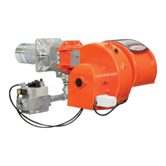 baltur TBG 85 P-V Manuel D'instructions Pour L'utilisation