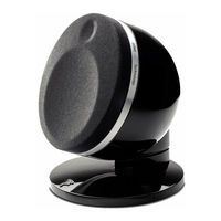 Focal BIRD PACK 1.0 Manuel D'utilisation