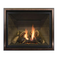 Kozy Heat Fireplaces TRF-41-MV Manuel D'installation Et D'utilisation
