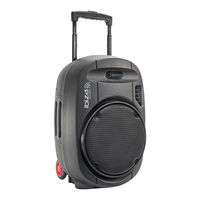 Ibiza sound PORT15UHF-MKII Manuel D'utilisation