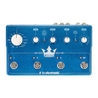 Tc Electronic Flashback Triple Delay Manuel