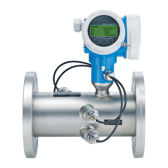 Endress+Hauser Proline Prosonic Flow B 200 Instructions Condensées