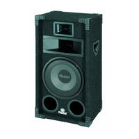 Magnat Soundforce 1200 Manuel De L'utilisation