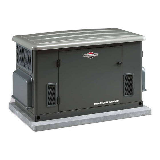 Briggs & Stratton 040204 Manuel D'utilisation