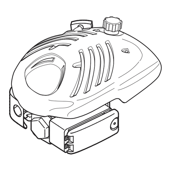 MTD OHV Serie Manuel