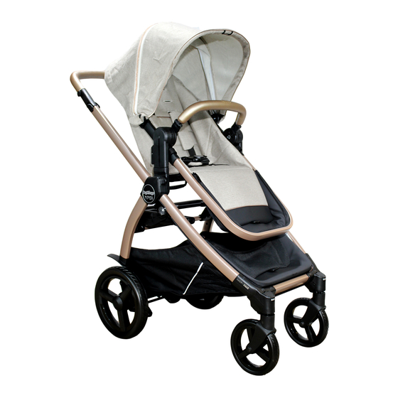 Peg-Perego ypsi Notice D'emploi