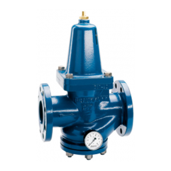 Honeywell Braukmann D17P Instructions De Montage
