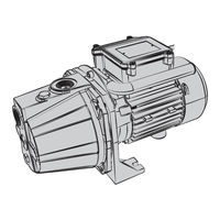 STERWINS 1100 JET IC-3 Notice De Montage, Utilisation Et Entretien