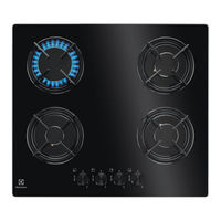 Electrolux EGT6242 Notice D'utilisation