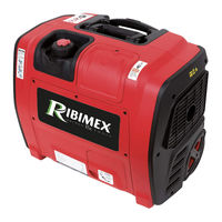 Ribimex 605066 Mode D'emploi