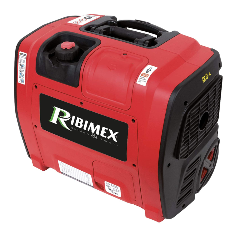 Ribimex PRGES2000I Manuels