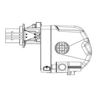 Riello RX 250 S/PV Instructions D'installation, D'utilisation Et D'entretien