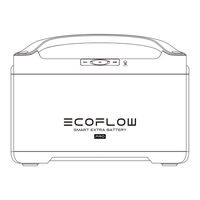 EcoFlow RIVER Pro Extra Mode D'emploi