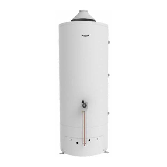 Ariston NSGA 500 Instructions Pour L'installation Et L'entretien