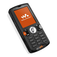 Sony Ericsson W810i Mode D'emploi