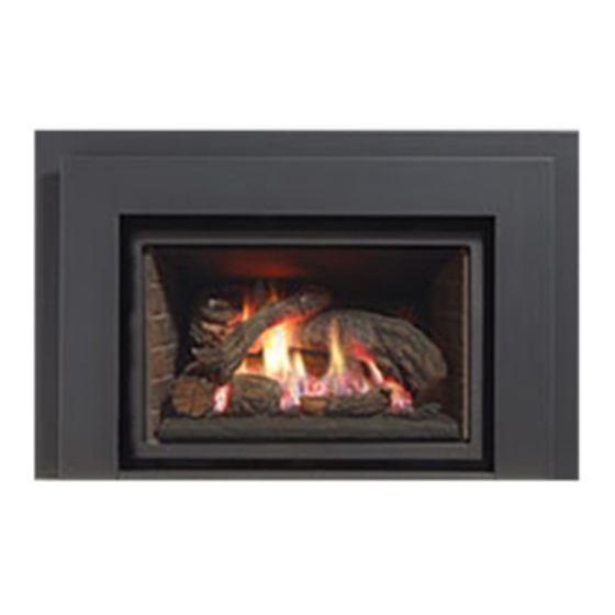 Regency Fireplace Products L-390E Guide D'installation Et D'utilisation